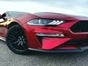 Mustang V8 450 PS mieten in Hamburg - Galerie - Bild 4