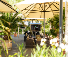 Palm Beach Stuttgart
