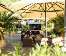 Palm Beach Stuttgart