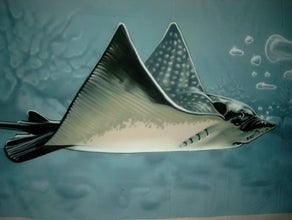 Rochen Unterwasser Bühnenbild