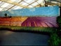 Felder Kulisse, Natur, Feld, Landschaft - Galerie - Bild 2