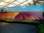 Felder Kulisse, Natur, Feld, Landschaft - Galerie - Bild 2
