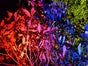 2x LED Movinlight / Movinghead,  Lichtanlage, Lichteffekt, Lichttechnik - Galerie - Bild 3