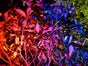 2x LED Movinlight / Movinghead, Lichtanlage, Lichteffekt, Lichttechnik - Galerie - Bild 3