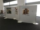 Trennwand, Raumteiler, Stellwand, Messestand, Trennwand, Posterwand,  Präsentationstafel,  Präsentationswand,  Ausstellungswand, Faltwand