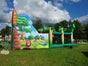 Safari-Rutschparcours - Hüpfburg mieten - Galerie - Bild 3
