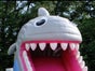 Wasserrutsche Haifisch - Galerie - Bild 2