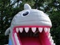 Wasserrutsche Haifisch - Galerie - Bild 2