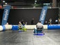 2 x Crazy Cart XL mit 60lfm Umrandung - Galerie - Bild 2