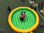 Bull Riding Top Frühlingsangebot inkl. kostenloser Regenrücktrittsversicherung - Galerie - Bild 3
