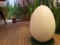 Osterei zu Anmalen, Osteraktion, Ostern, Osterdekoration - Galerie - Bild 3