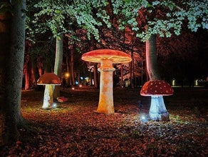 Pilz, Riesenpilz,  Wonderland Pilze, Herbst Dekoration