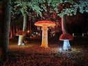 Pilz, Riesenpilz,  Wonderland Pilze, Herbst Dekoration