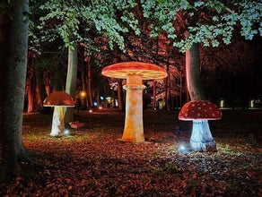 Pilz, Riesenpilz, Wonderland Pilze, Herbst Dekoration