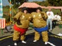 Sumo-Wrestling - Galerie - Bild 2