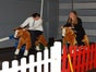 Pferderennen inkl. 19% MwSt. - Galerie - Bild 2