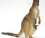 Känguru Figur, Australien, Tier, Wildtier, Outback
