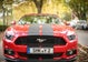 Ford Mustang GT Cabrio - V8 mit  421PS
