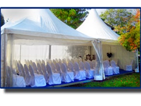 Pagode VIP 5m x 5m