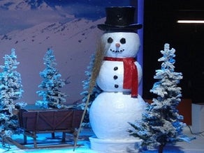 Schneemann, Winter, Winterdekoration