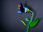 Glockenblume Riesenblume  XXL - Galerie - Bild 2