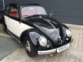 VW „Brezel-Käfer“