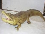 Krokodil Figur, Tier, Wildtier, Zoo, Kroko, Wassertier