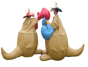 Känguru Boxen