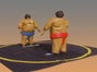 Sumo-Ringen (inkl. Anlieferung u. Aufbau + Abbau u. Abholung im Umkreis) - Galerie - Bild 3