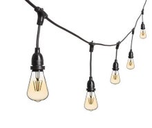 Lichterkette 5m LED Edison Vintage, schwarz