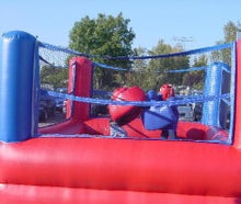 Sumo Wrestling oder Funky Boxing