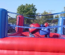 Sumo Wrestling oder Funky Boxing