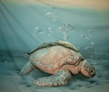 Schildkröte Unterwasser Bühnenbild