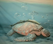Schildkröte Unterwasser Bühnenbild