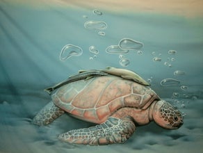 Schildkröte Unterwasser Bühnenbild