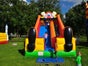 Clownrutsche - Riesenrutsche Clown mieten - Galerie - Bild 2