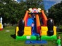 Clownrutsche - Riesenrutsche Clown mieten - Galerie - Bild 2