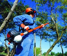 Astsäge 30 cm Schwertlänge, bis 5 m Arbeitshöhe, Benzingemisch