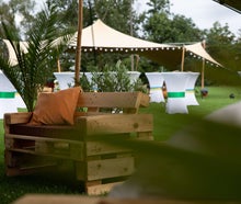Mietpflanzen & Palmen – stilvolle Dekoration für Events, Hochzeiten & Lounges