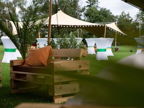 Mietpflanzen & Palmen – stilvolle Dekoration für Events, Hochzeiten & Lounges