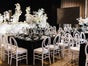 Chiavari mieten "Phönix" Stuhl weiß inkl. Sitzkissen, Tiffany Hochzeit- Stühle Verleih in 33647 Bielefeld - Galerie - Bild 3