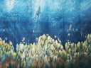 Korallenriff Kulisse, Unterwasser, Meer, Tauchen, Taucher