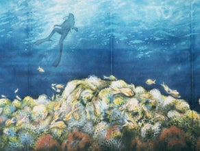 Korallenriff Kulisse, Unterwasser, Meer, Tauchen, Taucher