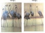 Flamingos Kulisse, Vogel - Galerie - Bild 2