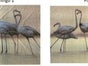 Flamingos Kulisse, Vogel - Galerie - Bild 2