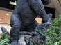 King Kong Figur, Gorilla, Hollywood, Film, Tier, Affe, Tierfigur - Galerie - Bild 3