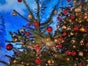 Weihnachtsbaum schmücken mit echten Bäumen - Galerie - Bild 2