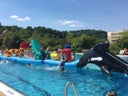 Wasserhindernis Parcours "Seamonster" - Galerie - Bild 1