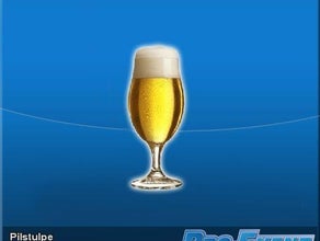 Pils Tulpe