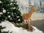 Reh - Tierpräparat für Wald Ausstattungen / Dekorationen - Galerie - Bild 2
